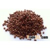 Sorghum for human consumption