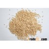 Yellow Sorghum Indian Origin