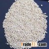 Sorghum seeds