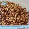 Chinese organic sorghum for sale-206