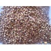 Red glutinous sorghum