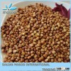 Premium Sorghum Bird Food