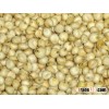 Sorghum for Human Consumption