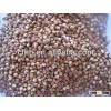 High quality white sorghum