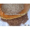White sorghum seeds