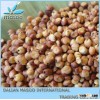 sorghum bran 2013 new crop