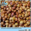 red sorghum - brew sorghum