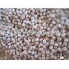 Red sorghum exporter