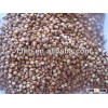 Red sorghum