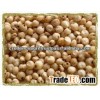 sorghum price