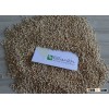 white Sorghum for Bird Feed