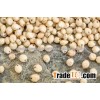 Broom -corn (Sorghum) Seed