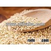 QUINUA, QUINOA CLEAN GRAIN