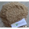 Bird Feed
