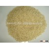 White Sorghum