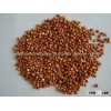 Red Sorghum manufacturer