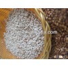 Sorghum