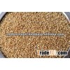 Bulk Sorghum Seed