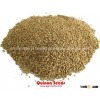 Quinoa Seeds