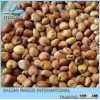 Red Sorghum-17