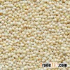 Sorghum & Millet
