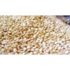 Quinoa Grains