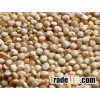 Quinoa Grains Grade A