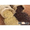 ORGANIC RED QUINOA