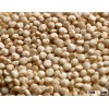 White quinoa grains