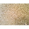 White Quinoa