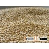 Quinoa Grains Best Quality