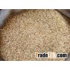 Quinoa Grain