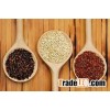 quality Quinoa Grains in Bulk for Export