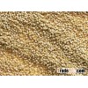 Quinoa