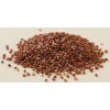 Red Quinoa
