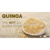 WHITE QUINOA SEEDS