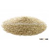 CERTIFIED ORGANIC/CONVENTIONAL WHITE QUINOA Chenopodium Quinoa