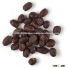 Organic Jojoba seed for sale