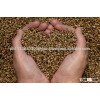 Organic Hemp Seed For Sale