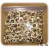 High quality Moringa leaf moringa seed moringa oil Extract