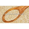 QUINOA PROCESSED INDIA ORIGIN