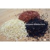 Wholesale Manufacture Raw Sprouted Quinoa Grains for Bulk Buyer - organic