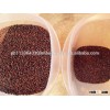 Organic Broccoli seeds for sale