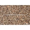 Organic Caraway Seed For Sale