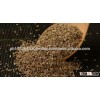 Organic Dill Seeds For Sale
