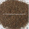 Grade A Hemp seed ,Perilla Seeds,Poppy Seeds,Watermelon Seeds,Chia Seeds