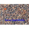 Organic Rice - High nutrition