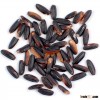 THE BEST QUALITY VIETNAM BLACK GLUTINOUS RICE 5% BROKEN