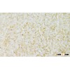 vietnamese rice