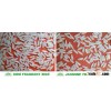 100% PURE JASMINE RICE sales4@vinarice.vn
